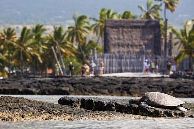 Kona Tour: Bee Farm, Kona Coffee, and National Historical Parks