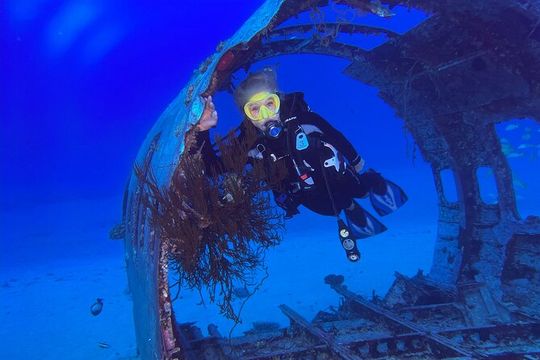 Certified Diver: 2-Tank Deep Wreck and Shallow Reef Dive Off Oahu