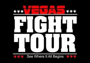 The Ultimate Las Vegas Fight Tour