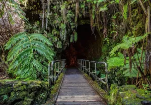 Big Island in a Day: Volcanoes Waterfalls Sightseeing and History