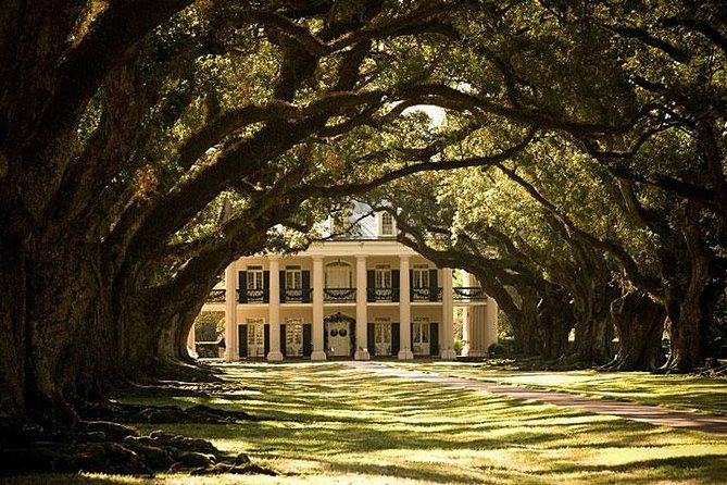 Oak Alley Plantation and Small Airboat Tour from New Orleans