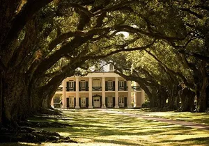 Oak Alley Plantation and Small Airboat Tour from New Orleans