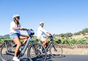 Half-Day Napa Valley E-Bike Tour