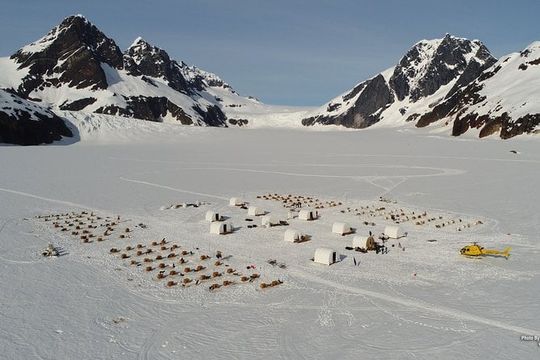 Juneau Helicopter and Dogsledding with Added Glacier Landing