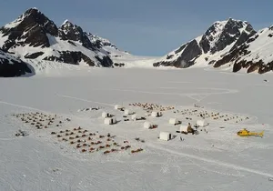 Juneau Helicopter and Dogsledding with Added Glacier Landing