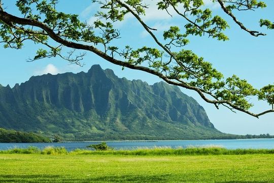Private Pearl Harbor and Scenic Oahu Tour
