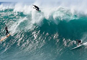 Circle Island tours - swim with turtles,Private & Small Group Tours