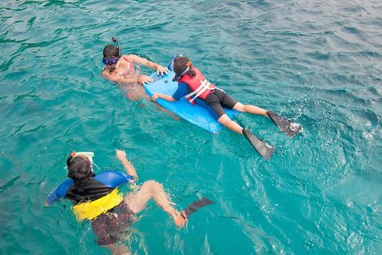 Four Winds Molokini Snorkeling Tour from Maalaea Harbor