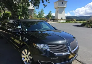8-Hour, Private Limo Wine Tour to Napa from San Francisco
