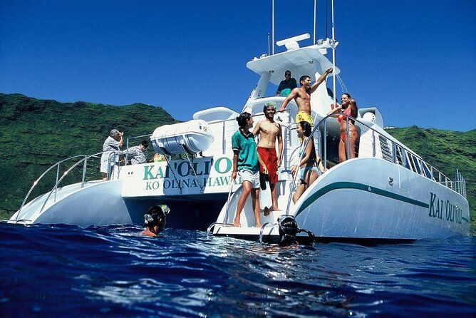 Luxury Snorkel Cruise with Dolphin Watch and Local Buffet