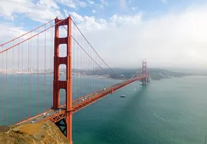 Muir Woods & Sausalito Tour