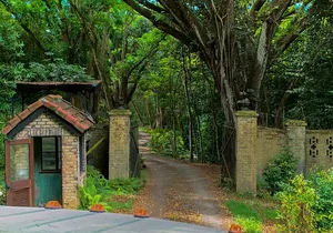 Kualoa Ranch: Jungle Expedition Tour