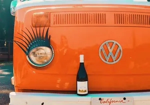 Painted Ladies Wine Country Tour