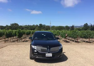 8-Hours Napa Wine Tour from SF to Napa CA , Sedan up to 2 People