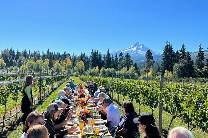 Full-Day Mt Hood Waterfall Tour with Lunch and Wine Included