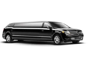 Private NYC tour by stretch limousine, choose 3 or 5-hour options