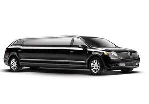 Private NYC tour by stretch limousine, choose 3 or 5-hour options