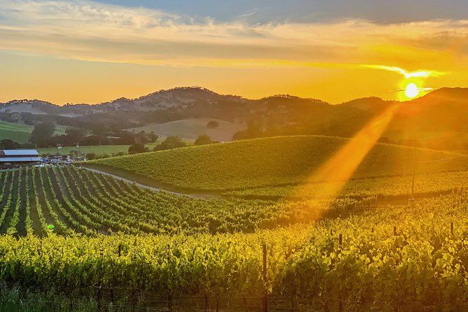 Private Wine Country Tour Including Photography Services