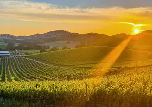 Private Wine Country Tour Including Photography Services