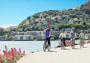 Golden Gate Bridge Guided Bicycle Tour with Lunch at Local Hotspot
