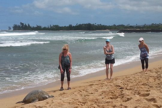 8-Hour Luxury Four Door Convertible Tour of Oahu's South and North Shores