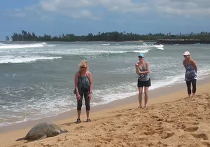 8-Hour Luxury Four Door Convertible Tour of Oahu's South and North Shores