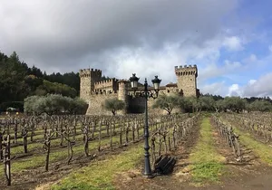 6-Hour Private Limousine Wine Country Tour of Napa or Sonoma