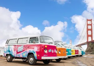 Painted Ladies San Francisco City Tour