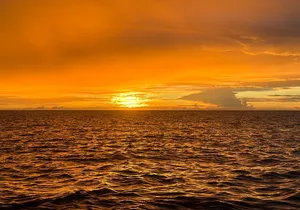 Manta Ray Night Snorkel