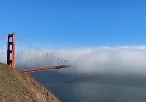 Muir Woods and Sausalito Small-Group Tour