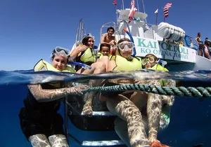 Premium Snorkeling Cruise with Whale and Dolphin Watching