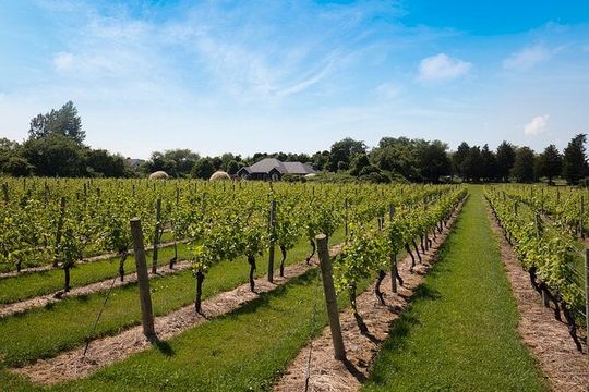 Hamptons, Sag Harbor & Outlet Shopping, 1-Day Tour from NYC