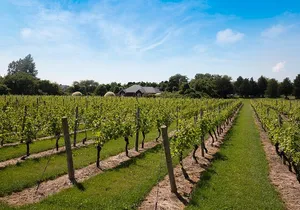 Hamptons, Sag Harbor & Outlet Shopping, 1-Day Tour from NYC