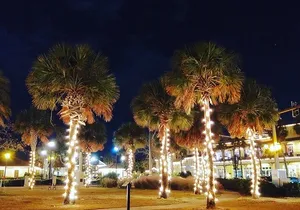 Spirits with the Spirits haunted pub crawl - drinks included