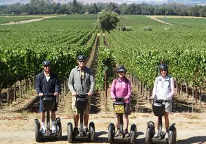 Sonoma County Wine Segway Tour