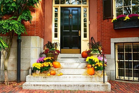 New York Full Day Private Tour: Hidden Gems & Local Highlights