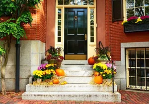 New York Full Day Private Tour: Hidden Gems & Local Highlights