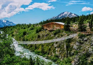 Skagway Shore Excursion: Half-Day Tour to the Yukon Border and Suspension Bridge