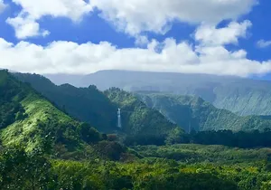 Private Road to Hana Tour