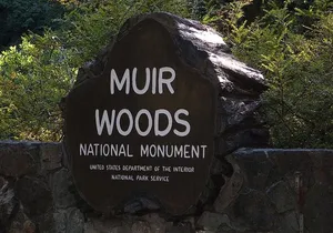 Muir Woods, Sausalito and Tiburon Day Trip from San Francisco