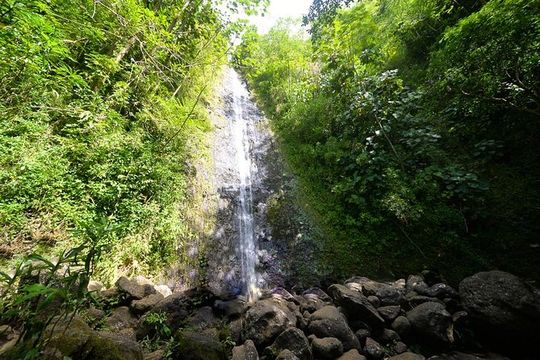 Hawaiian Waterfall Hike