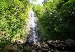 Hawaiian Waterfall Hike