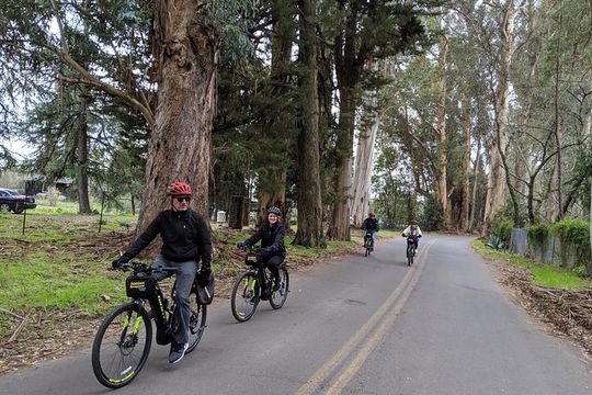 Behind-the-Scenes Food and Wine E-Bike Tour