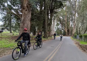 Behind-the-Scenes Food and Wine E-Bike Tour