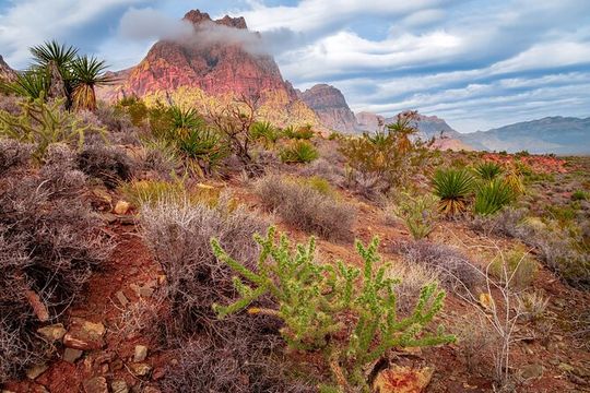 Award Winning Red Rock Canyon Tours