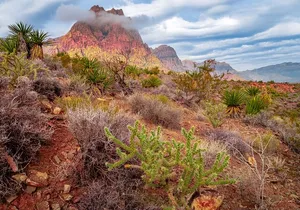 Award Winning Red Rock Canyon Tours