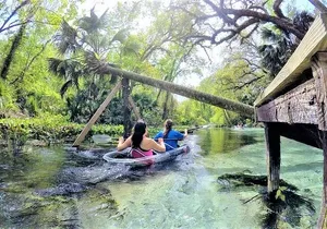 Rock Springs 2-Hour Glass Bottom Guided Kayak Eco Tour