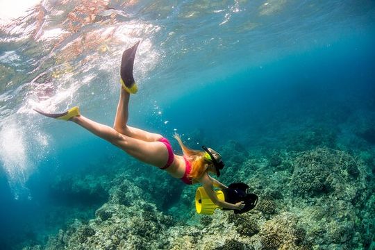 Luxury Kona Coast Snorkel Tour Including Lunch