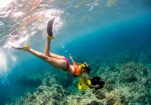 Luxury Kona Coast Snorkel Tour Including Lunch