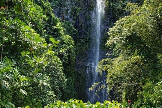 Small-Group Road to Hana Adventure Tour with Pickup & Lunch